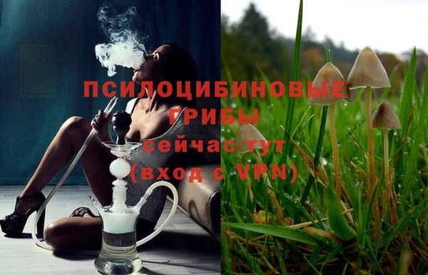 круглые Абаза