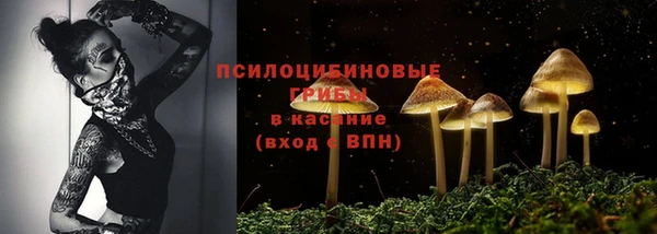 прущие грибы Навашино