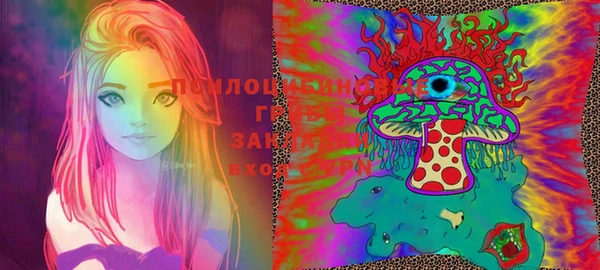 круглые Абаза